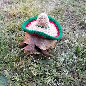 Mariachi Sombrero Turtle/Tortoise Costume