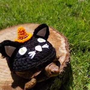 Black Cat with Witch Hat Costume  Turtle/Tortoises