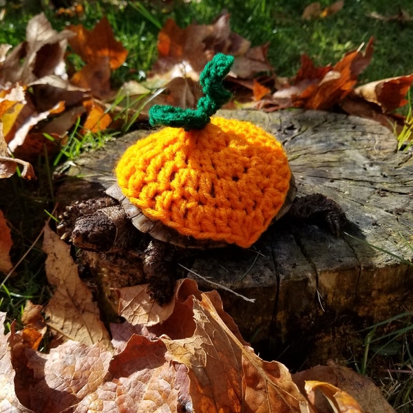 Pumpkin Turtle/Tortoise Costume