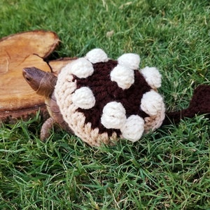 Spikey Dinosaur Inspired Crochet Costume for Turtles/ Tortoises