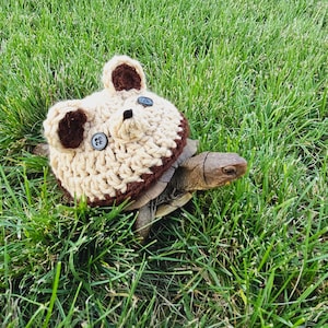 Crochet Chocolate Bear Inspired Costume for Turtle/ Tortoise