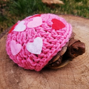 Love Allover Crochet Costume for Turtle/Tortoises