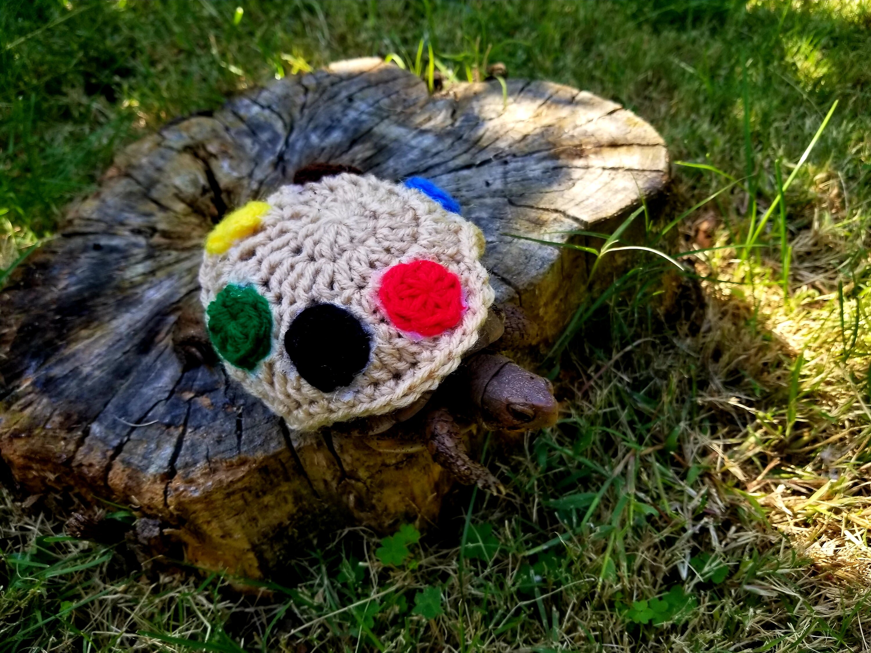 Paint Palette Costume for Turtle/tortoises Etsy