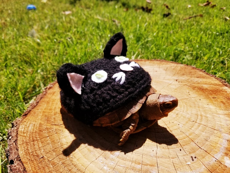 Black Cat Costume for Turtle/tortoises | Etsy
