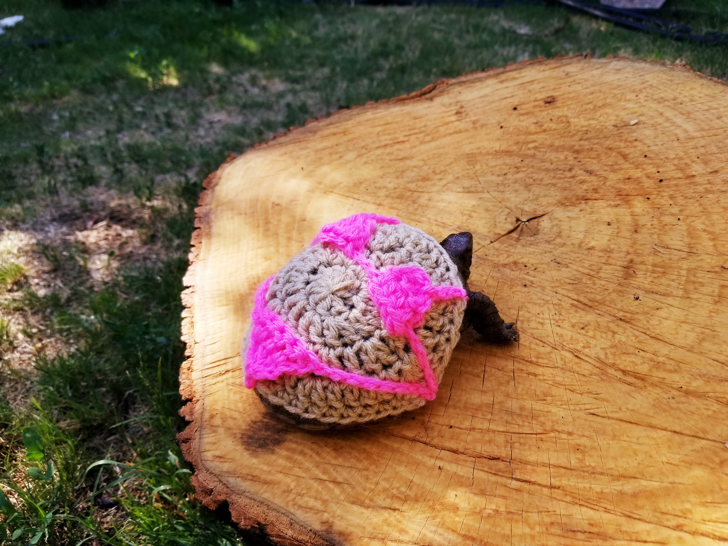 Pink Bikini Swimsuit Inspired Costume for Turtles/ Tortoises