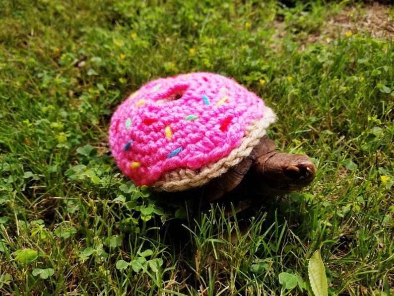 Strawberry Frosted Doughnut Costume for Turtles/ Tortoises image 2