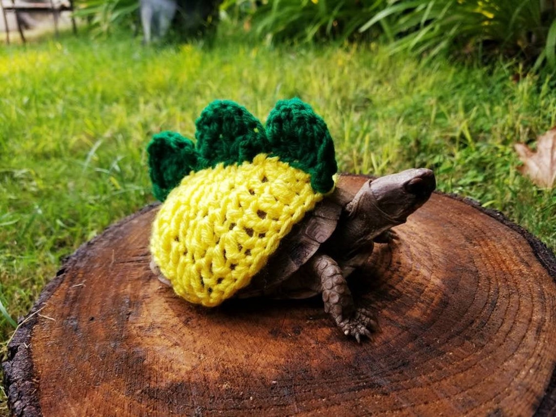 Dinosaur Crochet Costume With 3 Spikes for Turtle ON - Etsy