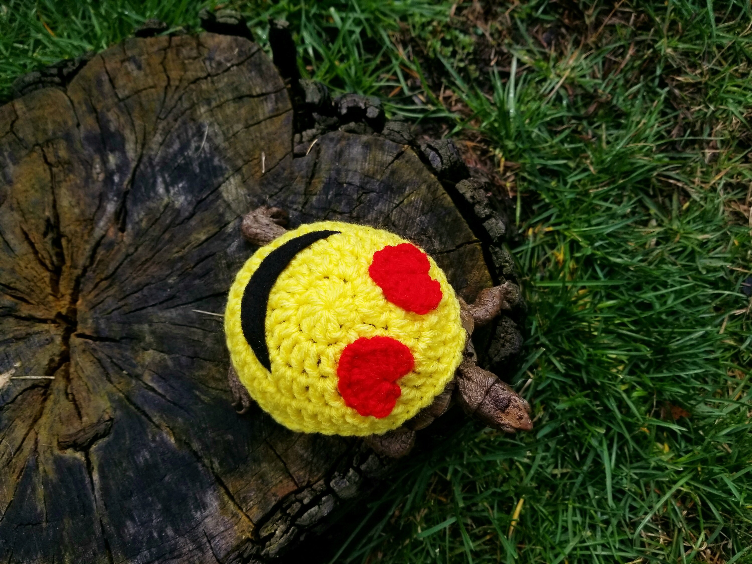 Emoji Costume For Turtles/Tortoises