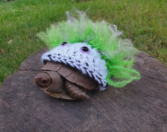 May include: A small turtle wearing a white and black crocheted hat with green fuzzy hair. The turtle is sitting on a wooden surface.