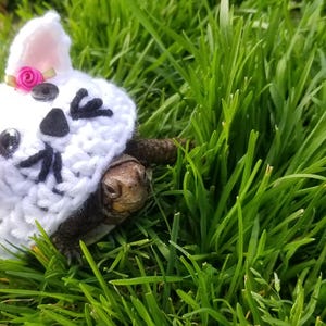 Cat/Kitten Costume for Turtles/ Tortoises image 3