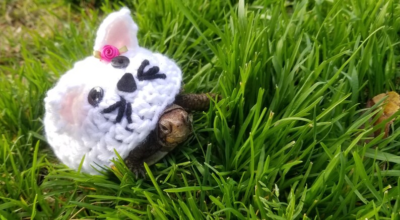 Cat/Kitten Costume for Turtles/ Tortoises image 3