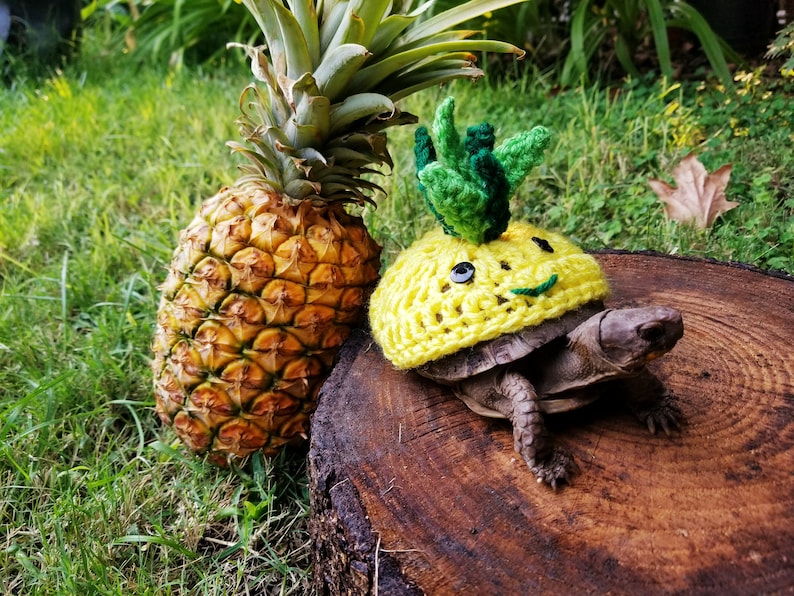 Happy Pineapple Costume for Turtles/ Tortoises Etsy