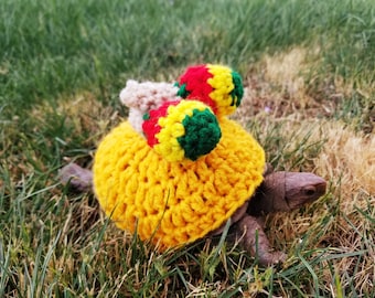 Disfraz de crochet inspirado en maracas para tortugas