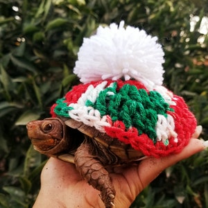 Festive Pom Pom Turtle/ Tortoise Costume