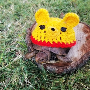 Honey Bear Inspired Costume for Turtle/ Tortoise