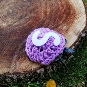 Custom Letter Crochet Costume for Turtle/Tortoise