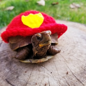 Firefighter Helmet Inspired Costume for Turtle/Tortoises