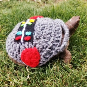 Boombox Inspired Costume for Turtle/ Tortoise
