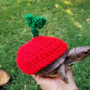 Costume da tartaruga/testuggine all&#39;uncinetto ispirato alla ciliegia