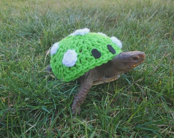 Magic Mushroom Crochet Costume for Turtles/ Tortoises
