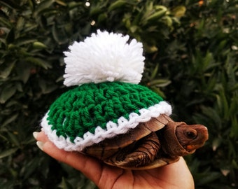 Festive Pom Pom Turtle/ Tortoise Costume
