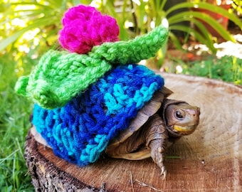 May include: A small turtle wearing a crocheted hat with a pink flower on top. The hat is blue, green, and turquoise.