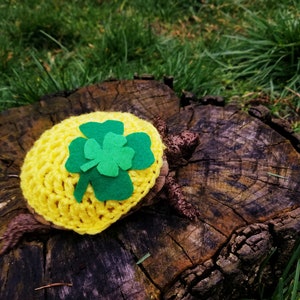 Könnte beinhalten: Eine kleine Schildkröte trägt einen gelben Häkelhut mit einem grünen Kleeblatt darauf. Die Schildkröte sitzt auf einem Baumstumpf.