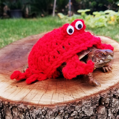 Crab Inspired Crochet Costume for Turtles/ Tortoises