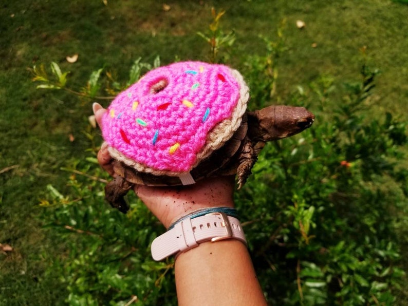 Strawberry Frosted Doughnut Costume for Turtles/ Tortoises image 6