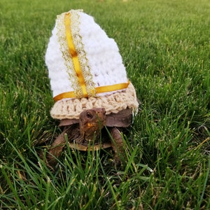 Könnte beinhalten: Eine kleine Schildkröte trägt einen weißen Häkelhut mit goldener Schleife und Spitzenbesatz. Die Schildkröte steht auf grünem Gras.