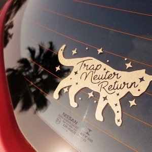 Trap, Neuter and Return (TNR) Glitter Shimmer Decal (ON SALE) | Application Instructions can be Found in Listing Description