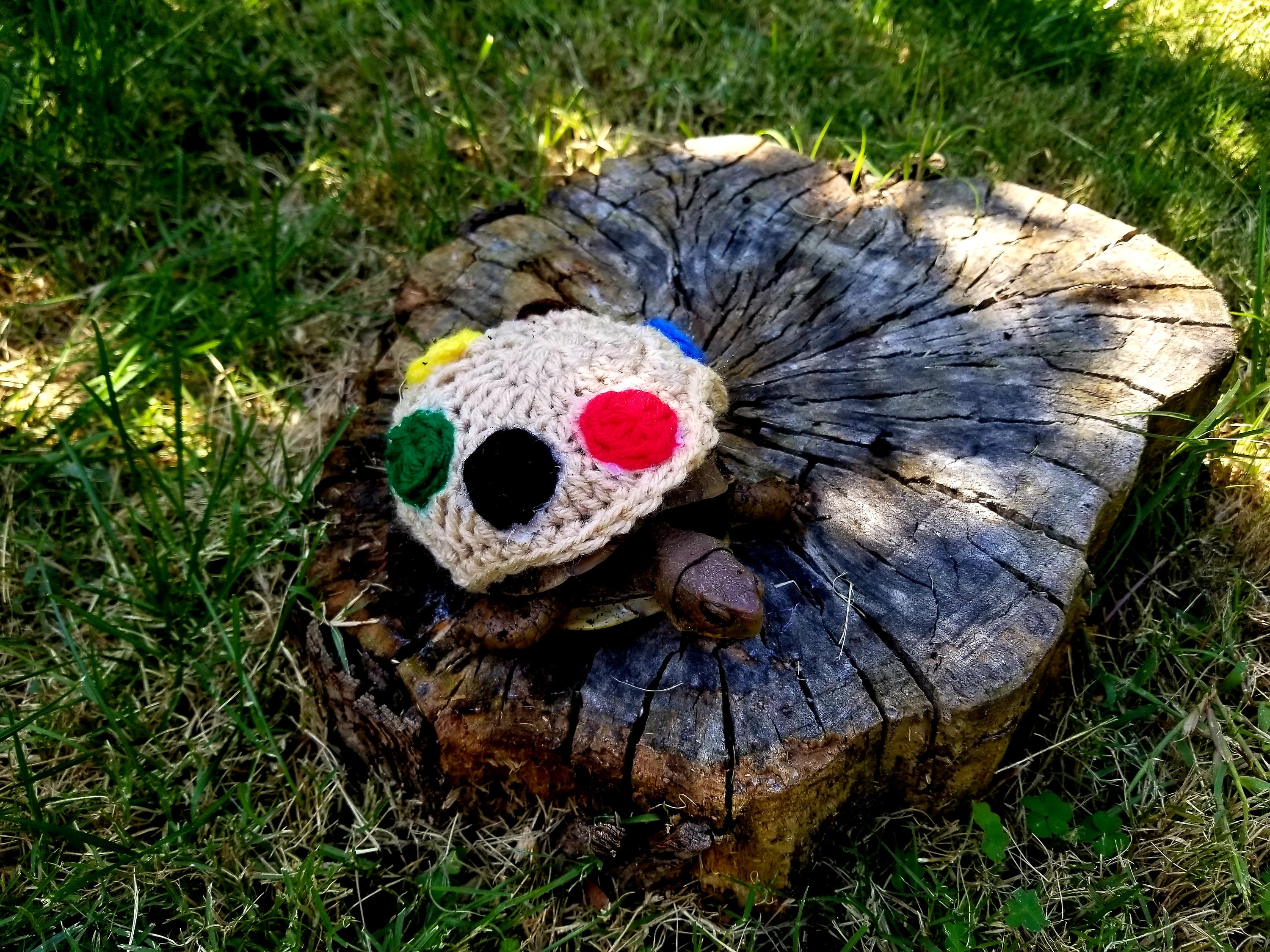 Paint Palette Costume for Turtle/tortoises Etsy