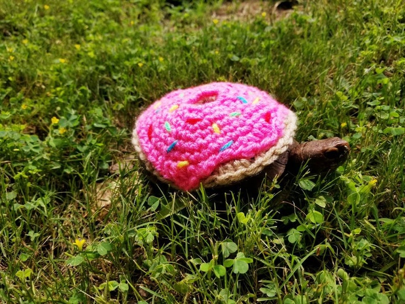 Strawberry Frosted Doughnut Costume for Turtles/ Tortoises image 5