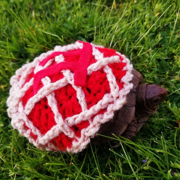 Cherry Pie with Pi Crochet Costume for Turtle/ Tortoise