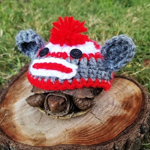 Monkey Inspired Costume for Turtle/ Tortoise