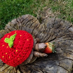 Crochet Strawberry Costume for Turtles/ Tortoises