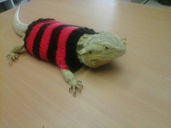 lizard sweater