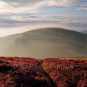 Photo card, Offa's Dyke Path, Wales, Footpath, Clwydian Hills, Misty Hill, Landscape, Square, blank inside image 1