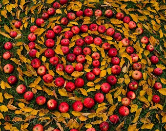 Photo card, Spiral of Red Apples, Yellow leaves, Autumn Spiral, Square, blank inside