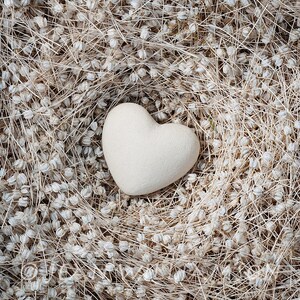 Carte photo, Coeur blanc, Oeuf blanc, Oeuf en forme de coeur, Nid de graines, Carré, intérieur vierge