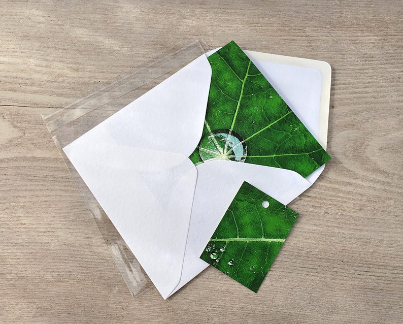 Photo Card, Raindrops, Leaf, Nasturtium leaf, Greeting Card, Square, blank inside image 4