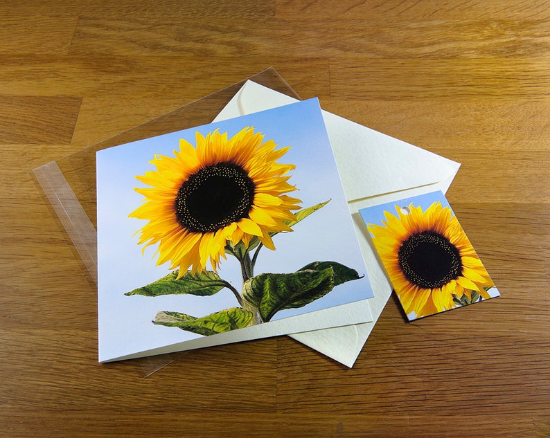 Sunflower Photo Card, Blank Fine Art Greeting Card - Etsy