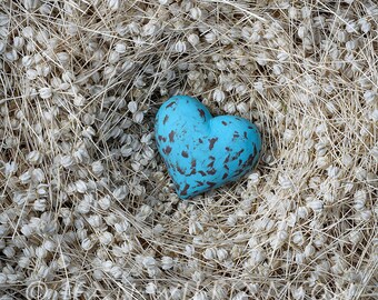 Photo Card, Heart, Blue Egg, Egg Shaped Heart, Nest, Seed Nest, Square, blank inside
