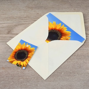Sunflower Photo Card, Blank Fine Art Greeting Card - Etsy