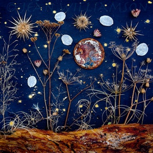 Carte photo, Ciel la nuit, Paysage imaginaire, Carré, intérieur vierge