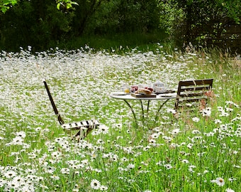 Photo Card, Wildflower Meadow, summer meadow, Al fresco, table & chairs, Square, blank inside