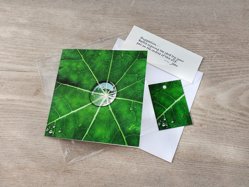 Photo Card, Raindrops, Leaf, Nasturtium leaf, Greeting Card, Square, blank inside image 2