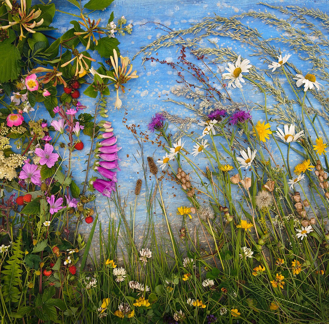 カシニョール 、【BUNCH OF FLOWERS IN MEADOW】 il_1080xN.4005538772_oatr.jpg