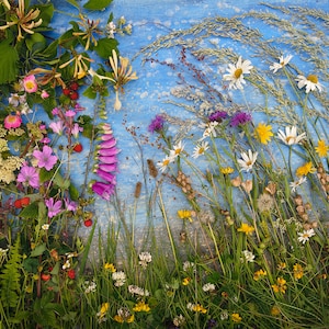 Carte photo, bois et prairie, fleurs sauvages, carré, espace intérieur