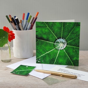 Photo Card, Raindrops, Leaf, Nasturtium leaf, Greeting Card, Square, blank inside image 5